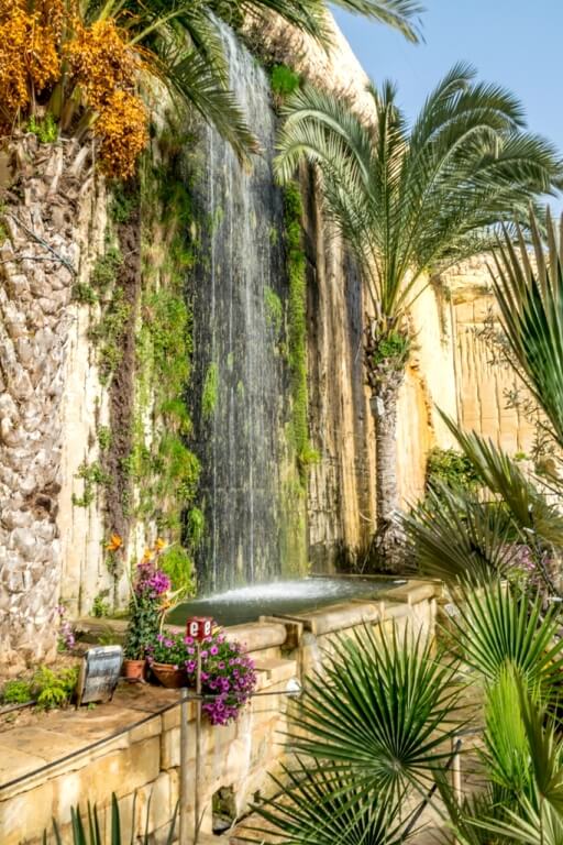 Цитрусовые сады на Мальте 2