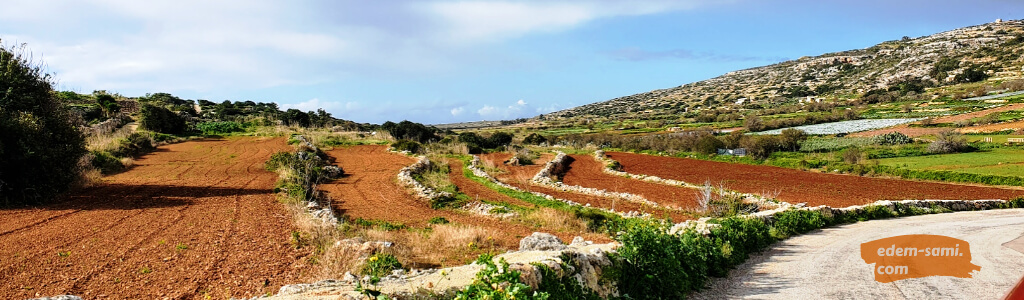 Огороды на Мальте